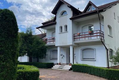Vanzare vila/casa de vacanta - 21