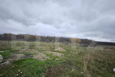 Teren de 1184 mp, în Abator - 3