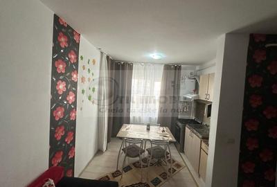 Ap 1 cam , 30 mp + balcon, loc parcare - 300EUR/lună, Ionel Teodorean