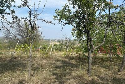 Teren de 1665 mp, în Dealuri Oradea - 6