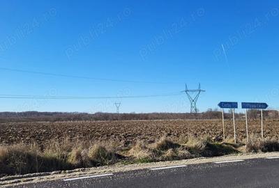 Teren de 10614 mp, în Mareș - 5