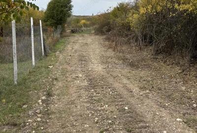 Terenuri de vanzare Saldabagiu de Munte - zona lac 625-1057 mp - front stradal 26 metri - 2