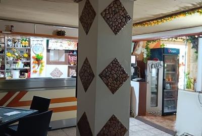 Vand pensiune si hotel la DN7/E81 Pitesti- Rm Valcea, teren 4 ha, 25euro/mp - 14