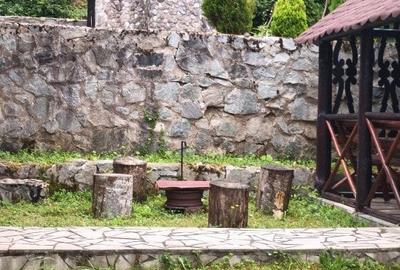 4 cabane din lemn, zona BOGA. - 9