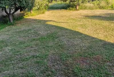 Casa de vanzare in Ciolt - 5