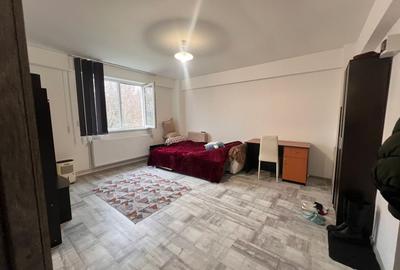 Garsoniera semidecomandata, 31,1 mp, cartier Cornitoiu, zona Liceul Bibescu - 1