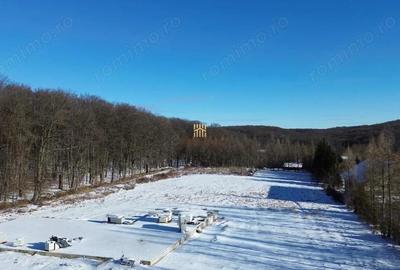 Teren Intravilan langa Padure 10.000 mp 1 hectar Suceava - 7