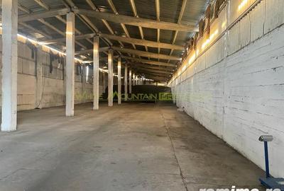 Oportunitate in Peris- teren, spatii industriale, silozuri 18000 tone- inchiriere tot sau partial - 3