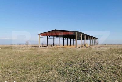 Teren de 390000 mp, în Iosefin - 18