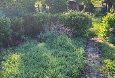 Casa de vanzare - Cornatel, la 20 de minute de Sibiu - 5