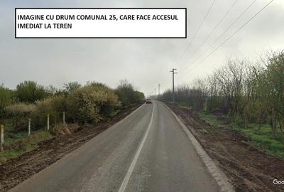 Proprietar - Teren intravilan unicat Clinceni - 15.070 mp - 14 euro/mp - 4