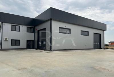 Spațiu industrial, de 400 mp, în Domnești - 6