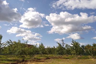 Casă în Central - 2