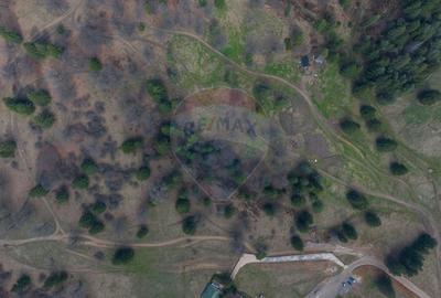 Teren Construcții intravilan de 1872 mp, în Poiana Brașov - 7