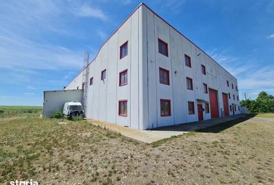 Spațiu comercial, de 40,000 mp, în Șagu - 6