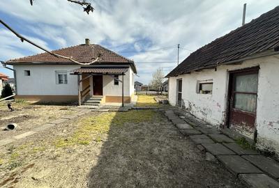 Casă cu 2 camere în Dorolț - 6