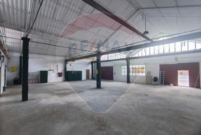 Spatiu industrial de 435mp de inchiriat in zona Sannicolau Mic - 3