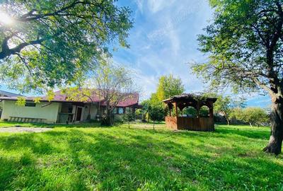 Casa superba Valenii de Munte curte 2031mp - 2