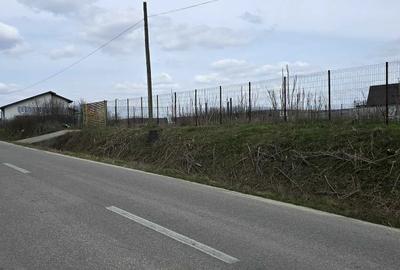 Spațiu comercial, în Almăj - 7