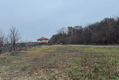 Teren intravilan 736 mp, Ciofliceni – Snagov, acces asfalt, lângă pădure și case - 3