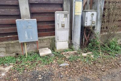 Vand 2500 mp in Branesti, strada Brazi in spatele lizierei, tpate utilitatile, - 9