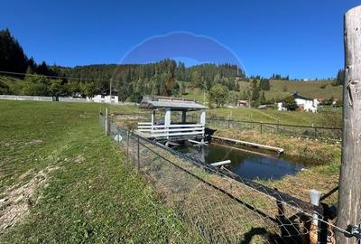 Casa in Vatra Dornei, zona Argestru, cu 11.541m.p. TEREN INTRAVILAN - 20