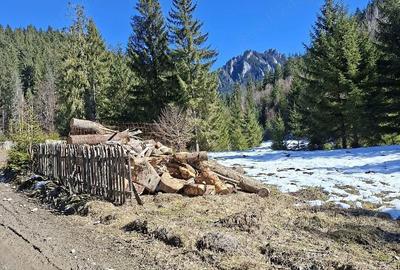 Casă cu 4 camere cu Teren 500 Mp în Bicazu Ardelean - 2
