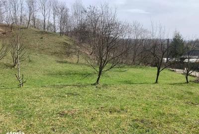 Spațiu comercial, în Plai - 3