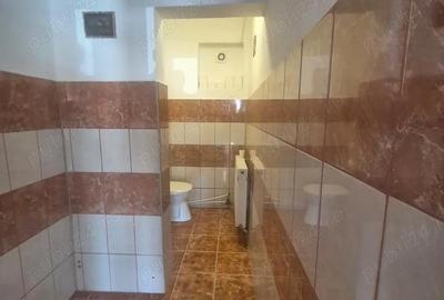 Spațiu comercial, de 262 mp, în Alexandru cel Bun - 7