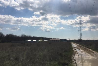 Vanzare Teren Intravilan Cornetu Ilfov - 3