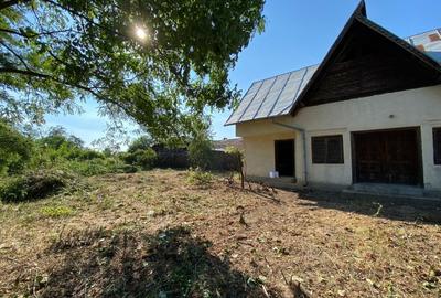 Casă de vânzare în satul Puțuri, comuna Castranova, județul Dolj - 4