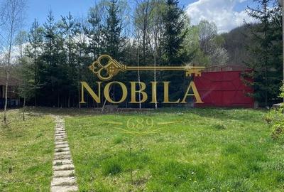 Casă cu 4 camere în Pârvulești - 18