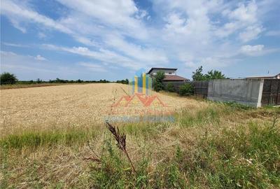Teren Construcții intravilan de 5000 mp, în Mihai Vodă