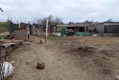 Casă cu Teren 700 Mp în Lumina - 2