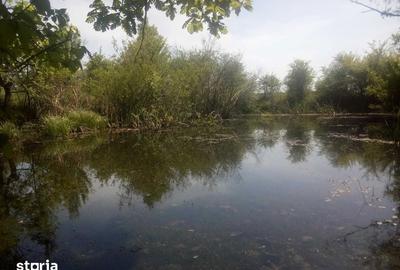 Teren de 50000 mp, în Făgețelu - 8