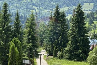 Hotel/Pensiune, de 790 mp, în Ceahlău - 1