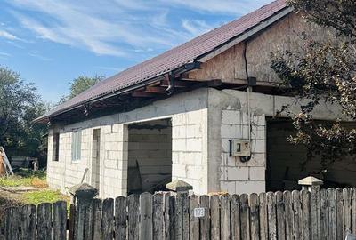 Casă cu 3 camere în Adâncata - 3