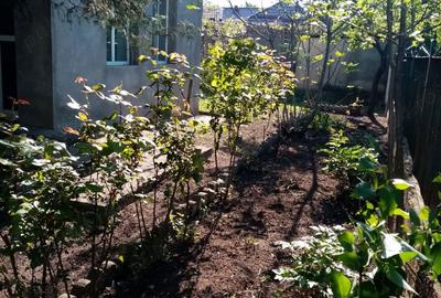 Casă cu 5 camere cu Teren 1717 Mp în Corabia - 2