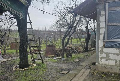 Casă cu Teren 1964 Mp în Vâlcelele - 20