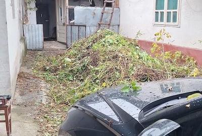 Casă cu Teren 960 Mp în Bâlca - 3