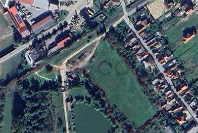 RECO Teren intravilan 13.500 mp Beius - 4