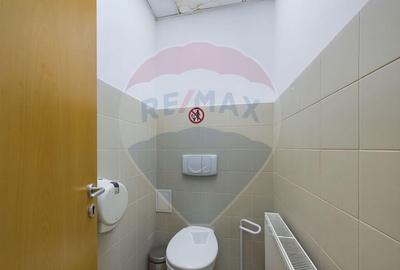 Spa?iu industrial si birouri, zona Aparatorii Patriei - 12