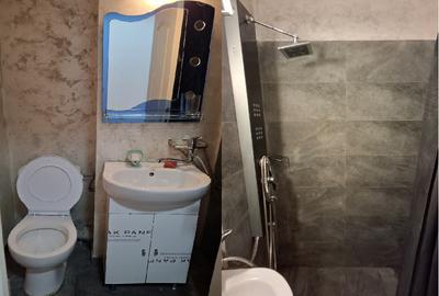 Garsoniera Craiovita - Digi - 6