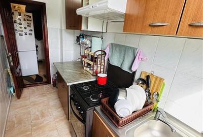 Apartament 2 camere, etaj 4, zona Mausoleu Sud - 9