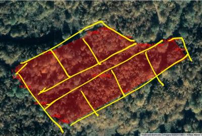 INVESTITIE! 7 Parcele teren extravilan Baisoara, jud. Cluj! - 1