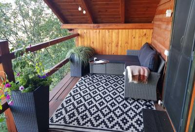 Casă cu 3 camere în Muntele Rece - 8