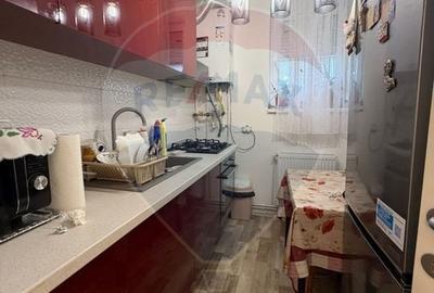 Garsoniera decomandata, 32mp, Brazda lui Novac, bloc 2023 - 10