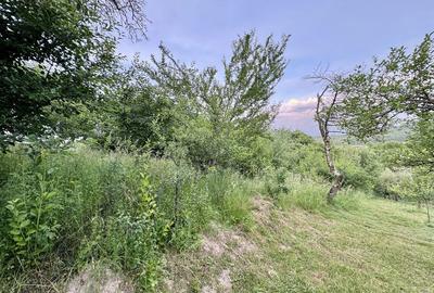 Spațiu comercial, în Central - 8