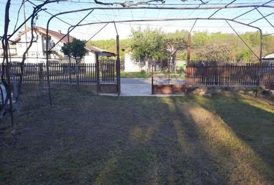 Vanzare teren si casa batraneasca in Dumbravesti, Prahova - 6