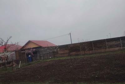 Casă cu 4 camere cu Teren 620 Mp în Macea - 2